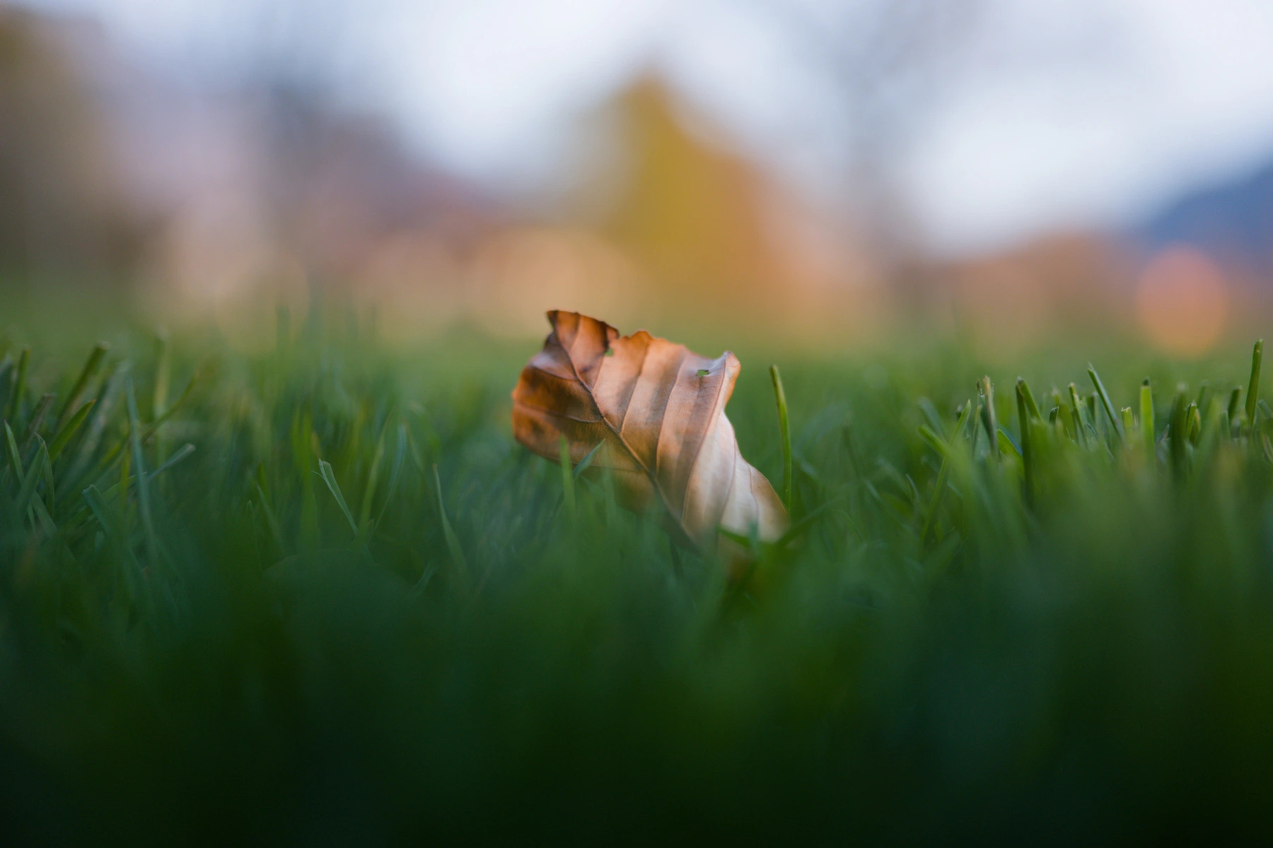 Stimmungsbild - landed